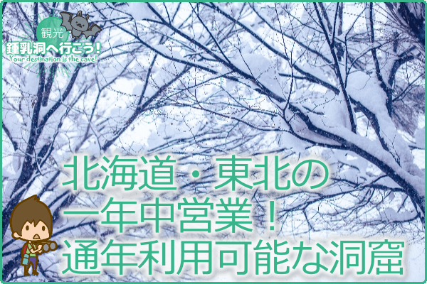 北海道・東北の一年中営業！通年利用可能な洞窟