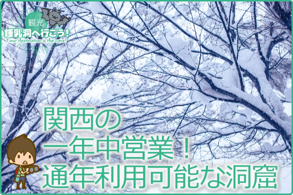 関西の一年中営業！通年利用可能な洞窟