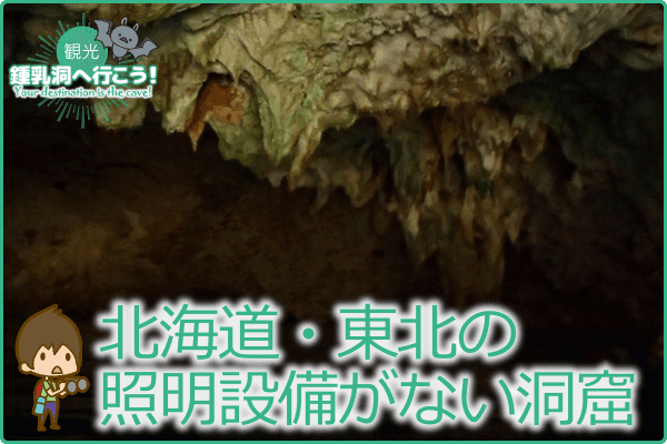 北海道・東北の照明設備がない洞窟